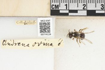 Media type: image;   Entomology 774124 Aspect: Labels